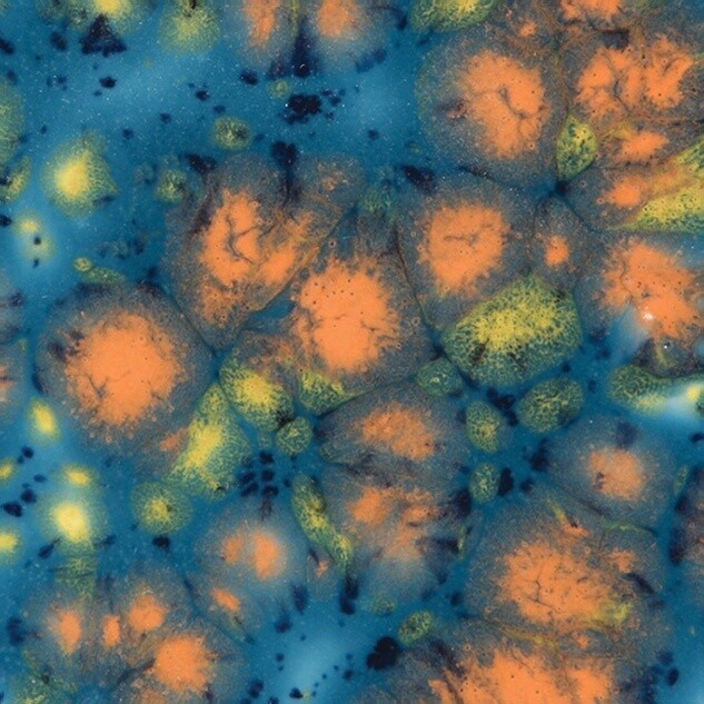 Mayco Koi Pond CG 983-118 ml