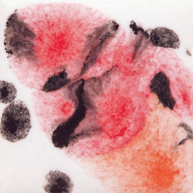 Mayco Poppy Fields S 2727-118 ml