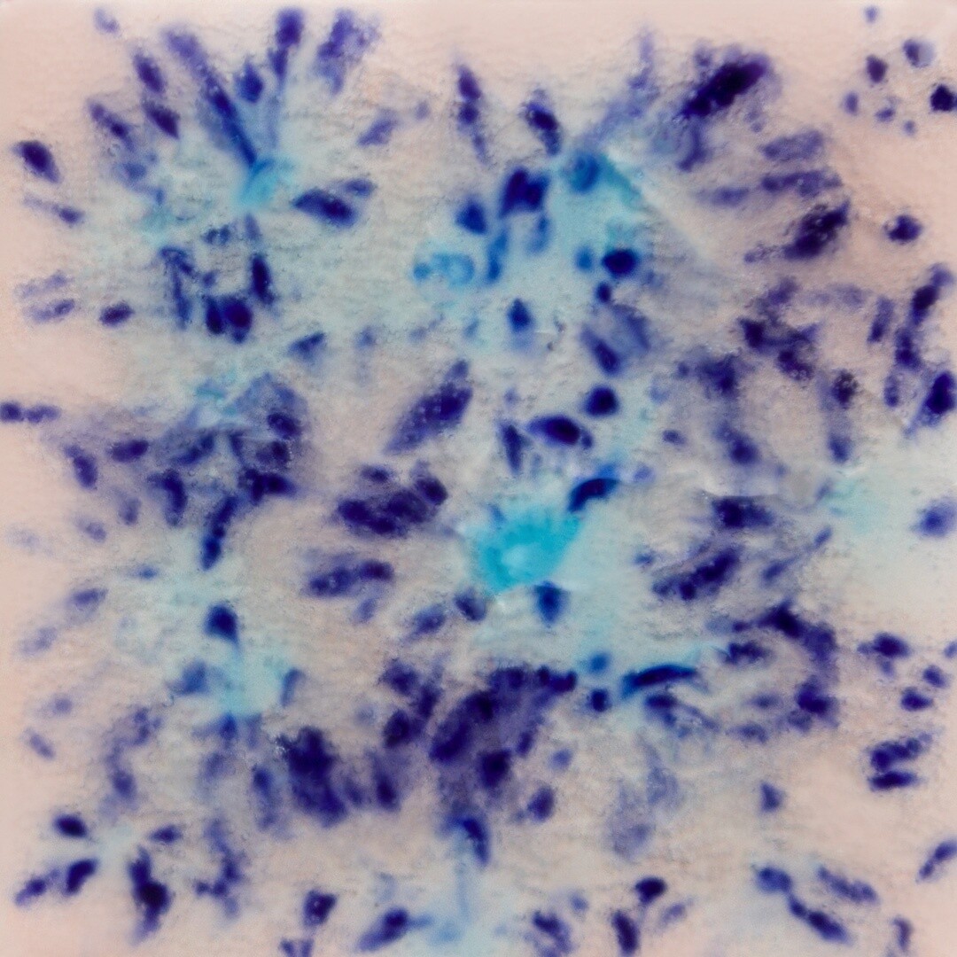 Mayco Northern lights S 2702-118 ml