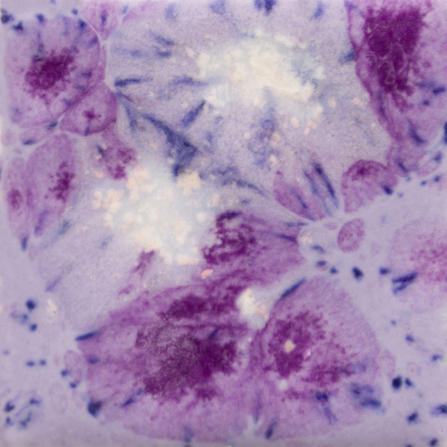 Mayco purple reign CG 1006-118 ml Mayco purple reign CG 1006-118 ml