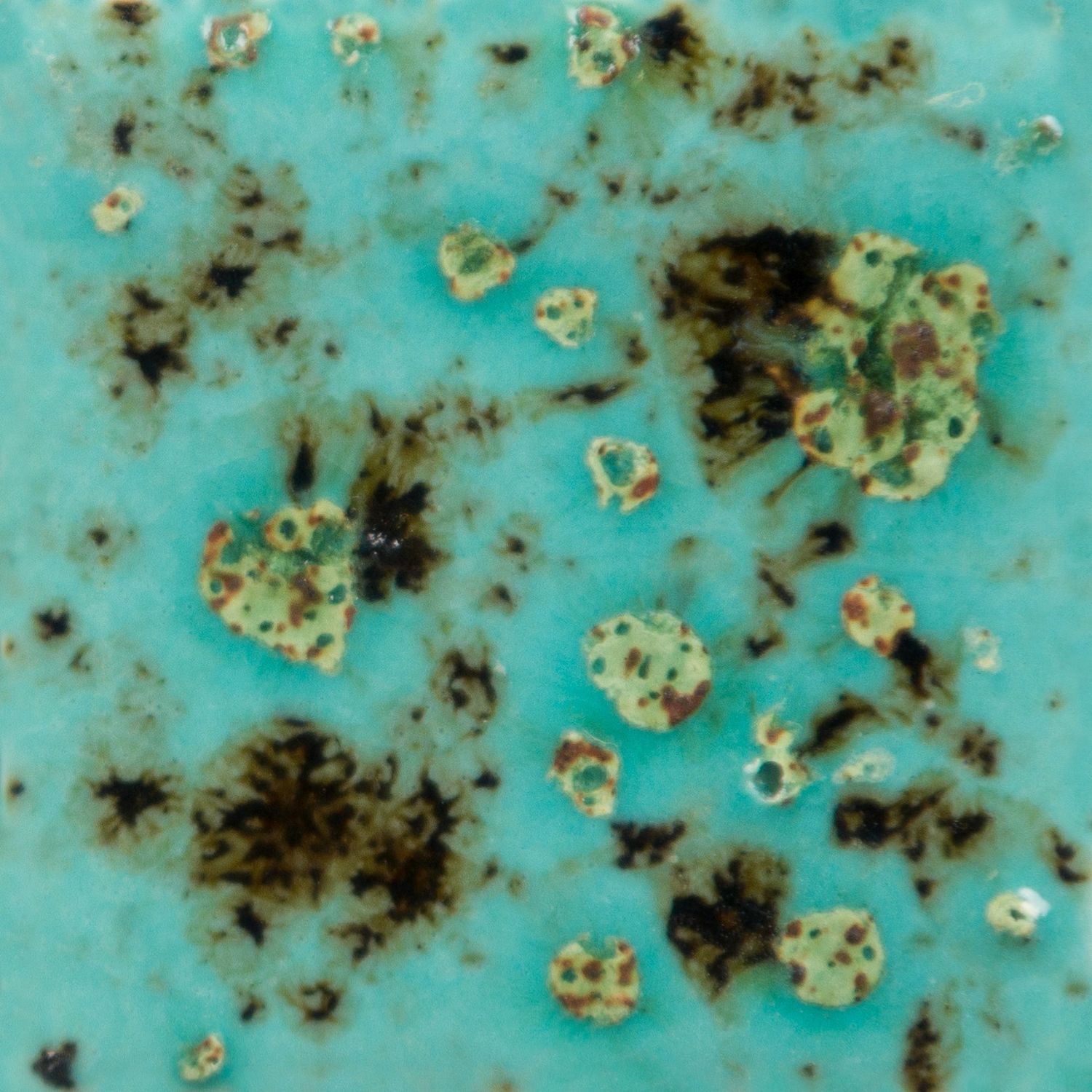 Mayco Blue guppy CG 1008 - 118 ml Mayco Blue guppy CG 1008 - 118 ml