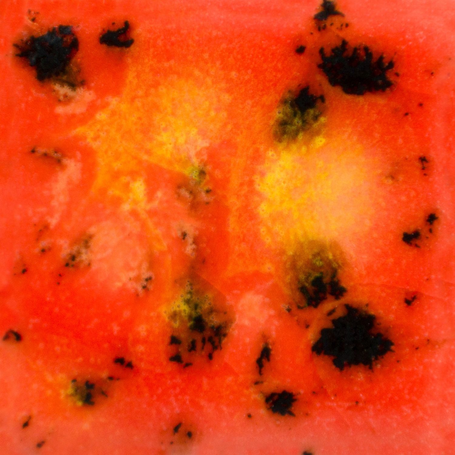 Mayco Day Lily CG 1002 -118 ml Mayco Day Lily CG 1002 -118 ml