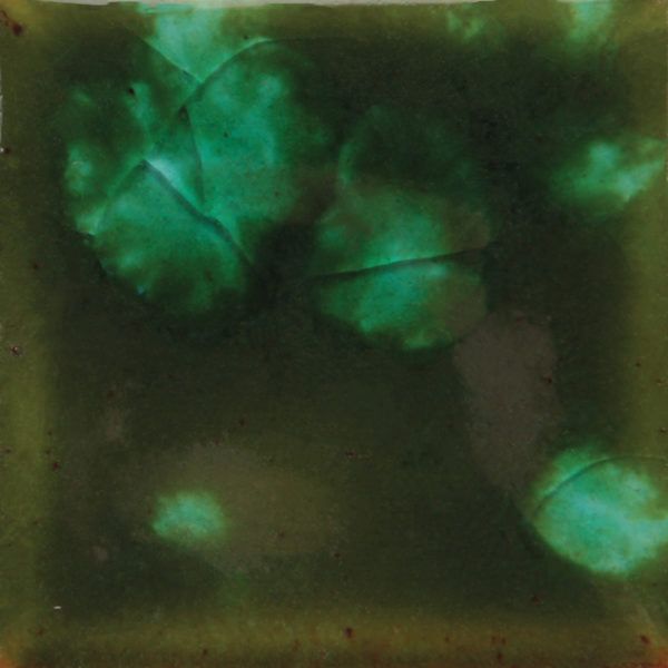 mayco- CG 707 woodland fantasy-118 ml