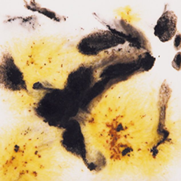 mayco-S-2726 cheetah-118ml mayco-S-2726 cheetah-118ml