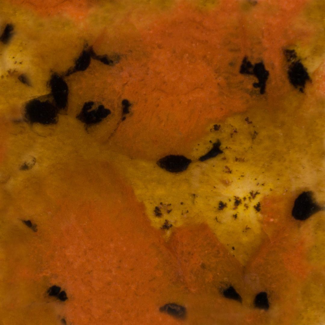 mayco-S-2725 safari-118ml