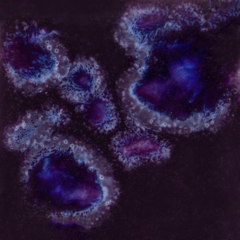 mayco- CG 785 royal fantasy-118ml