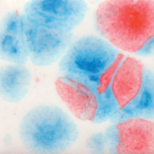 Mayco Kaboom S 2731-118 ml