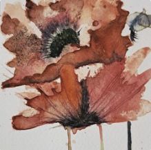 Kant en klaar pakket: Vurige klaprozen in aquarel