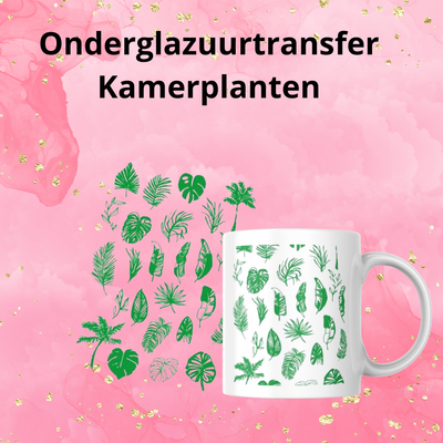 Onderglazuurtransfer A4: Kamerplanten
