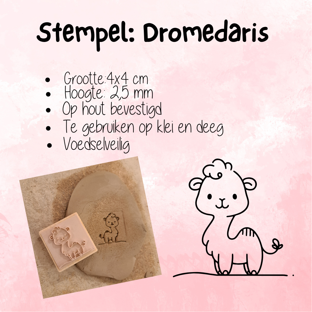 Stempel : Dromedaris