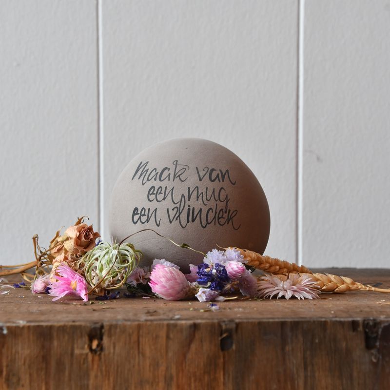 Bolleke: maak van een mug....