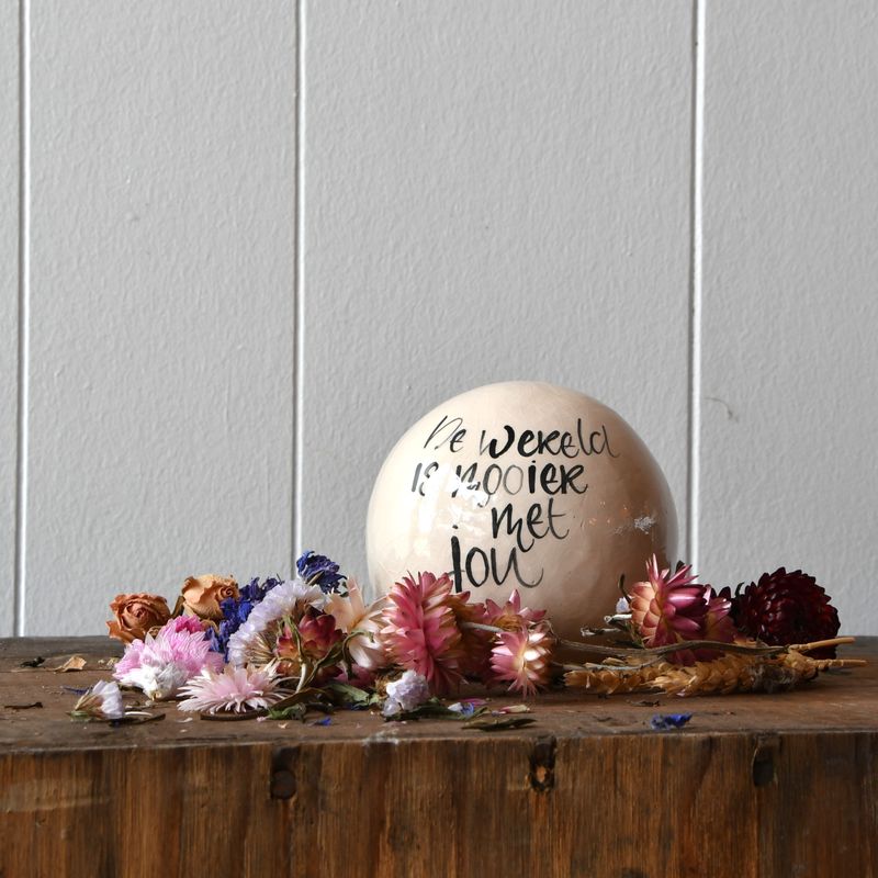 Bolleke: De wereld is...