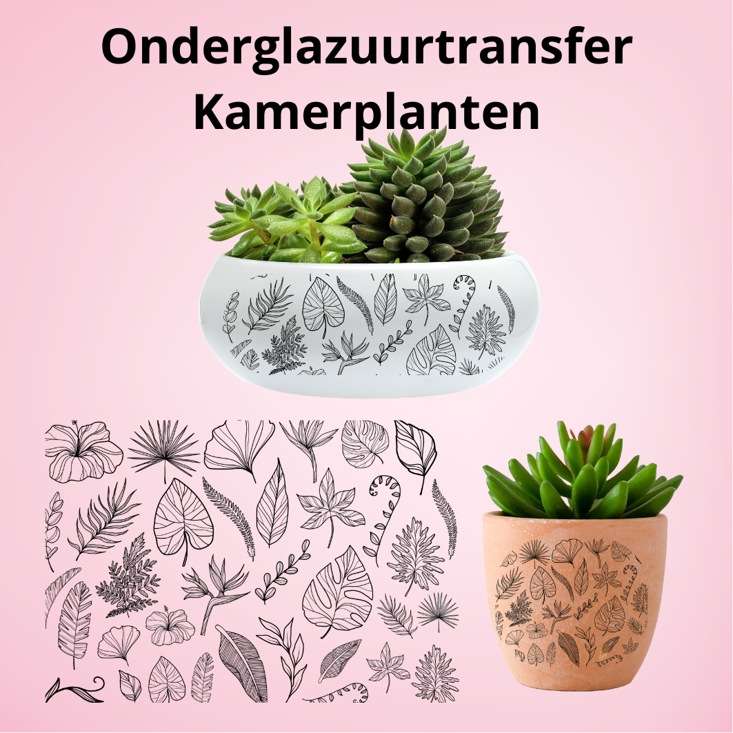 Onderglazuurtransfer A3: Kamerplanten