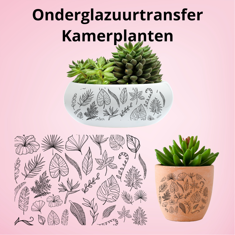 Onderglazuurtransfer A3: Kamerplanten Onderglazuurtransfer A3: Kamerplanten