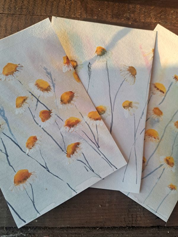 Kant en klaar pakket : Madeliefjes in aquarel