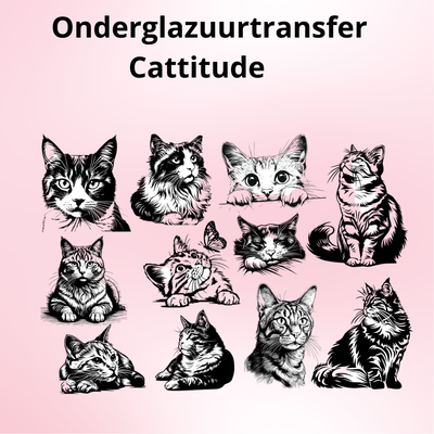 Onderglazuurtransfer A4: Cattitude
