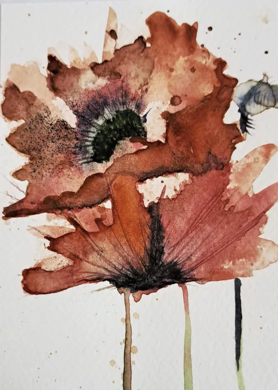 Vurige klaprozen in aquarel 30 juli Vurige klaprozen in aquarel 30 juli