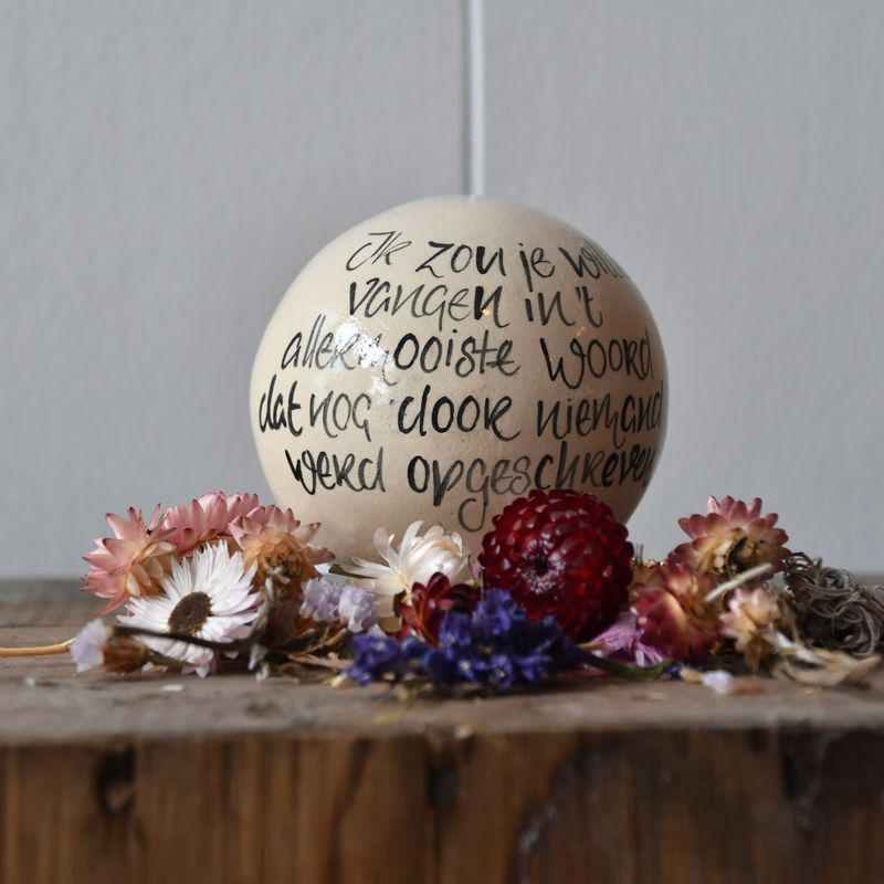 Bolleke: Ik zou je willen vangen...