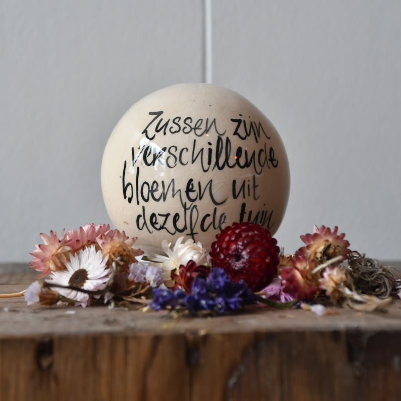 Bolleke: Zussen zijn...