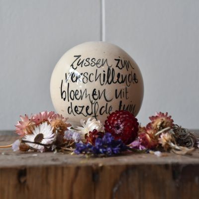 Bolleke: Zussen zijn... Bolleke: Zussen zijn...