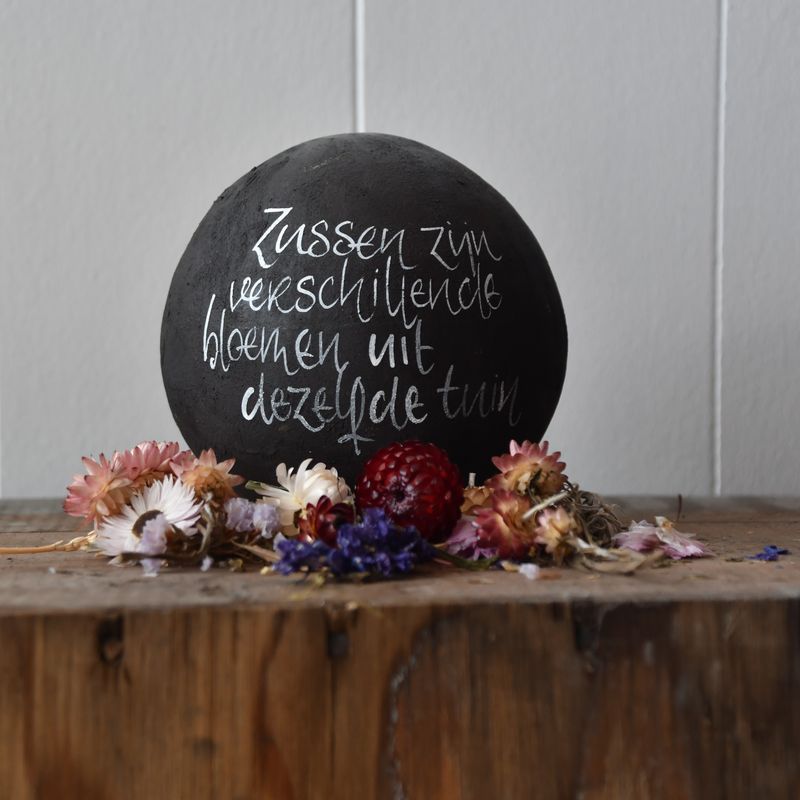 Bolleke : Zussen zijn...