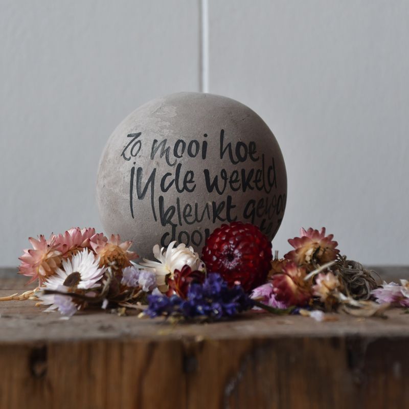 Bolleke: Zo mooi hoe jij...