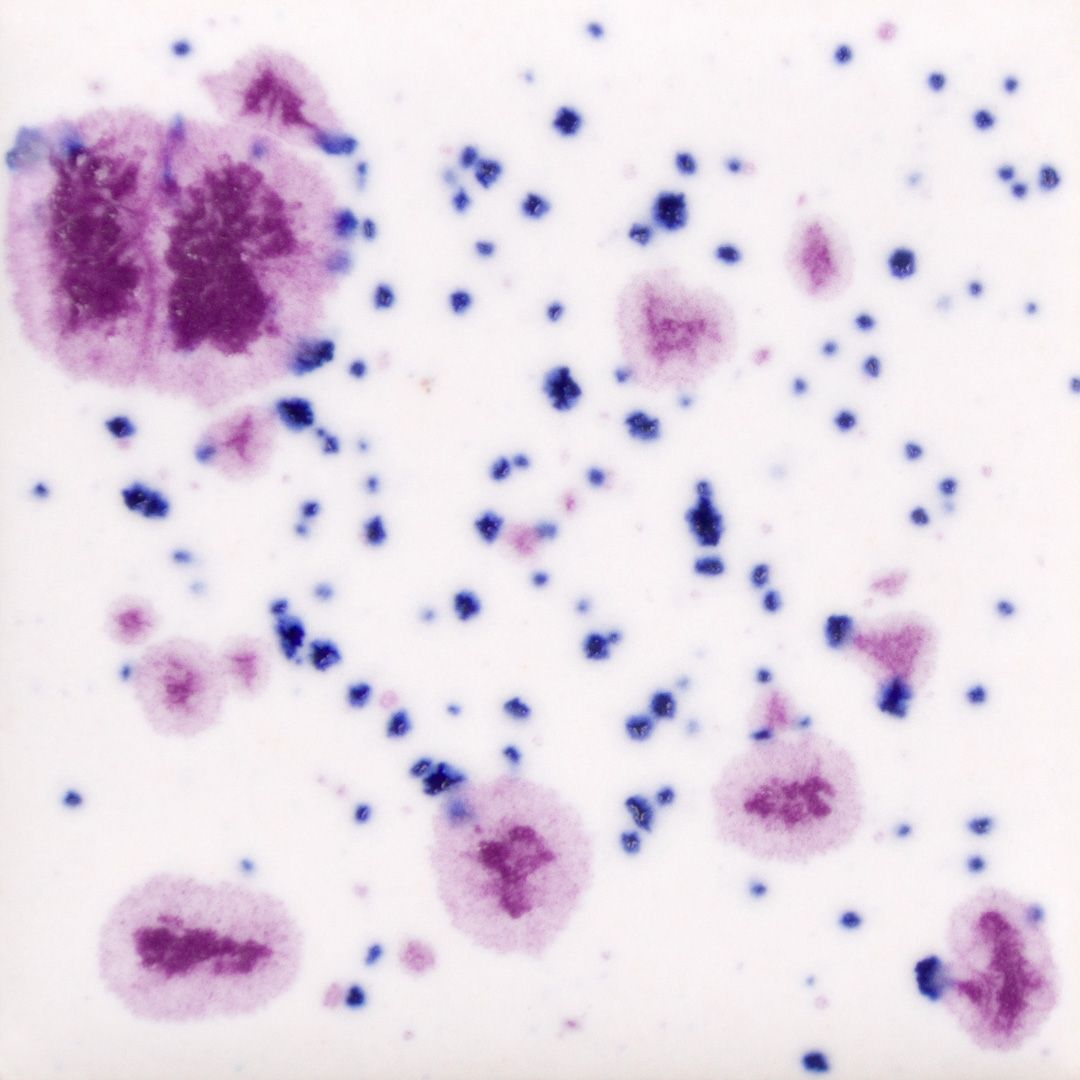 Mayco Frosted Berries CG1011-118ml Mayco Frosted Berries CG1011-118ml