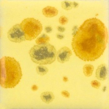 Mayco Haystack CG1012-118 ml