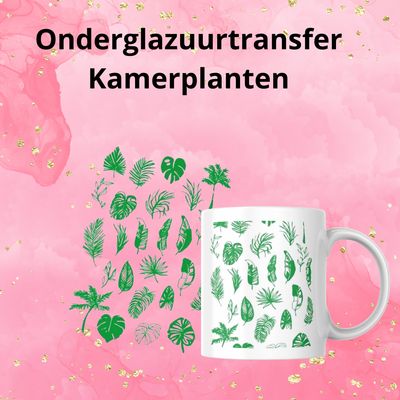 Onderglazuurtransfer A4: Kamerplanten Onderglazuurtransfer A4: Kamerplanten