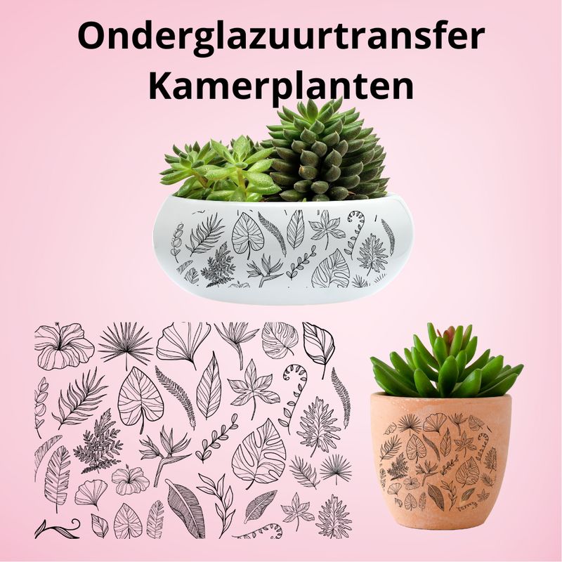Onderglazuurtransfer A3: Kamerplanten Onderglazuurtransfer A3: Kamerplanten