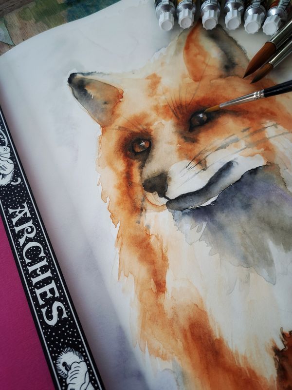 Masterclass aquarel: De vos in al zijn glorie