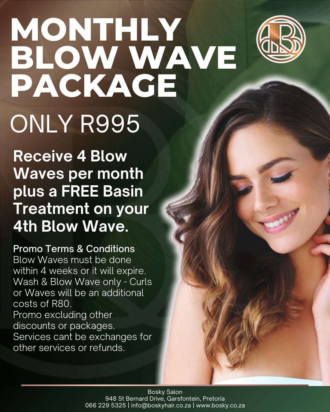 Monthly Blow Wave Package