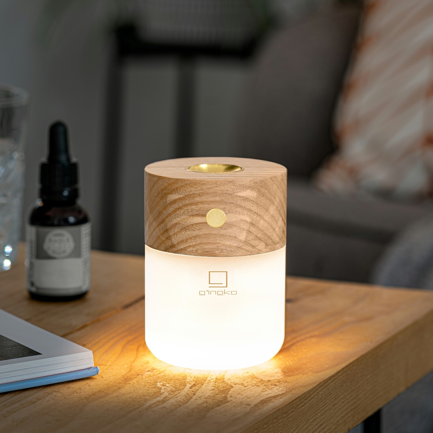 Smart Diffuser Lamp