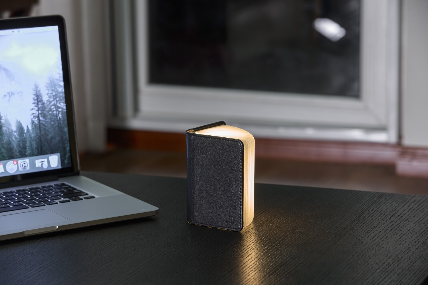 Smart Book Light - Mini