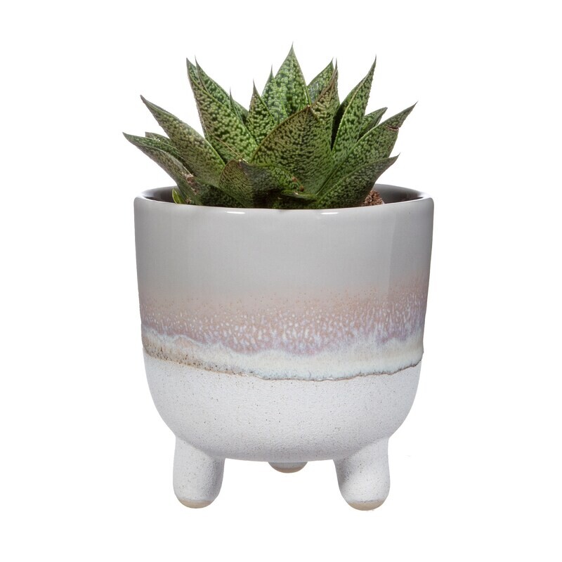 Stoneware Planter - Table Top