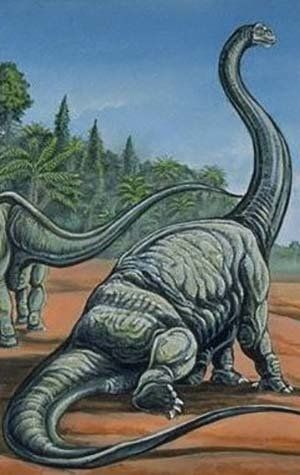 Discovery That's Toppling Evolution E-book Discovery That's Toppling Evolution E-book