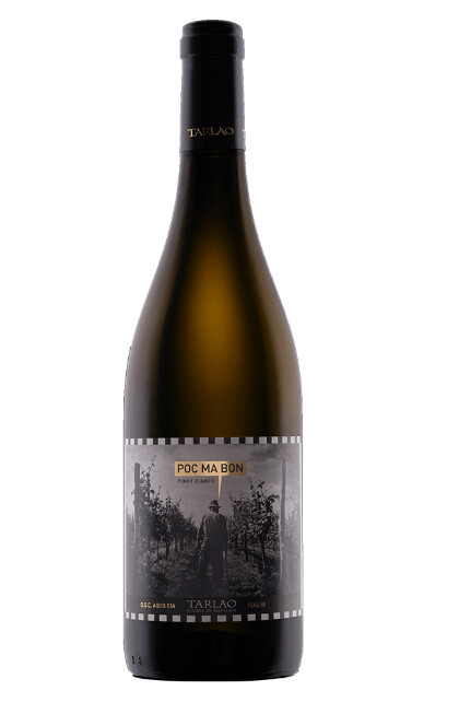 Friulano Aquileia Selezione Poc Ma Bon DOC - Tarlao