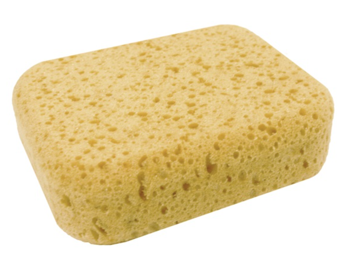 Large Body Sponge
