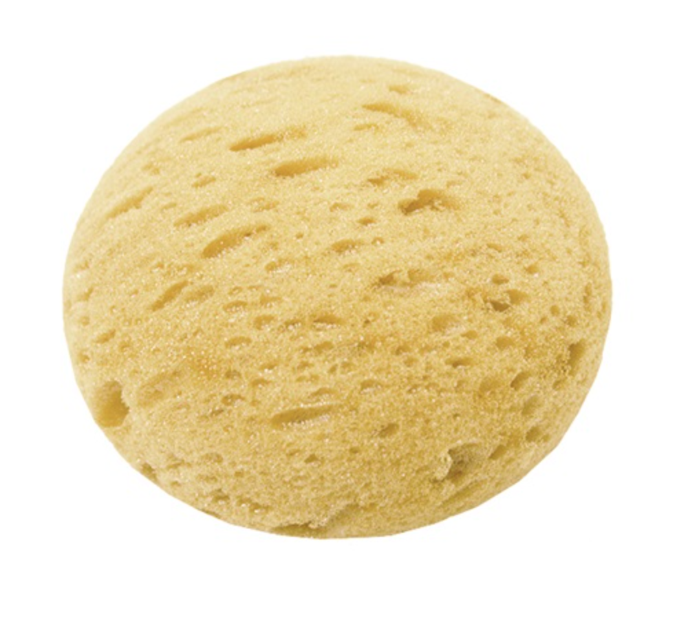 Large Tack Sponge