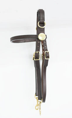 Blue Ribbon Side Check Training Bridle (Horse)