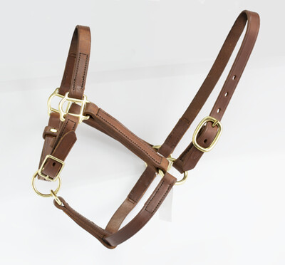 Blue Ribbon Turn Out Halter