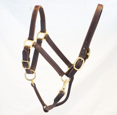 Halters and Leads