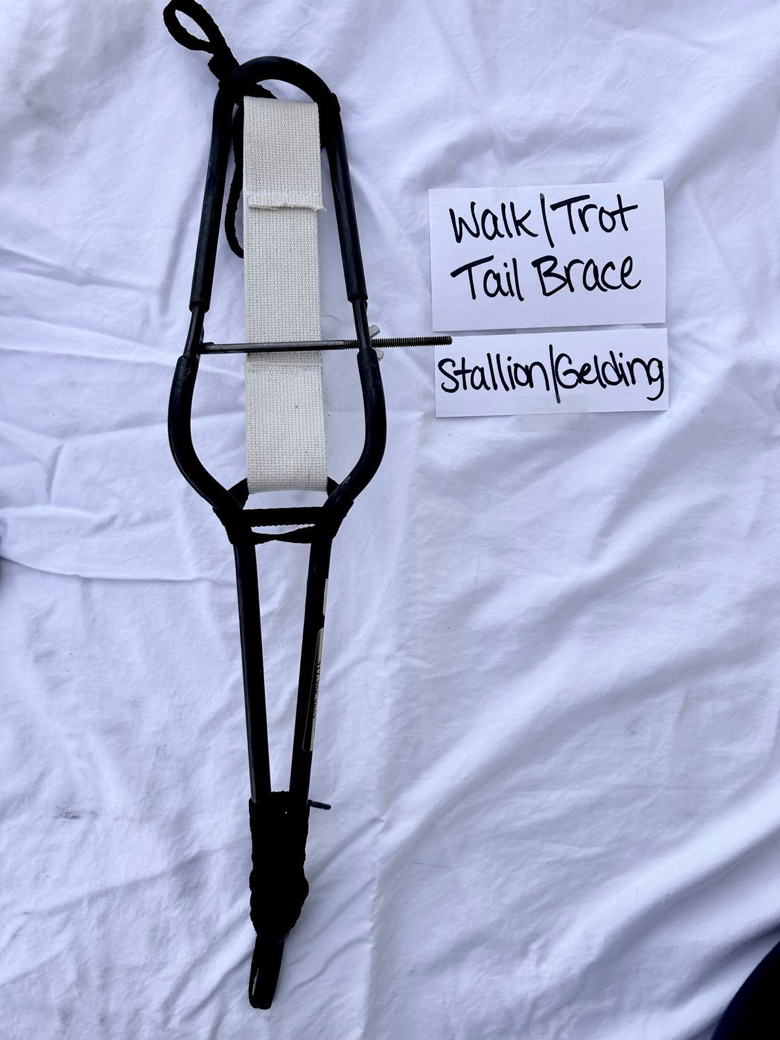 Walk Trot Tail Brace
