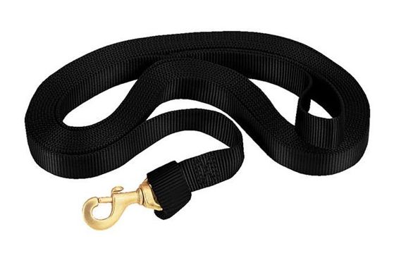 Weaver Flat Nylon Lunge Line with Snap 1&quot; x 24&#39;