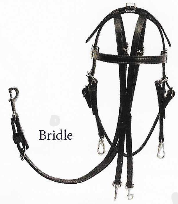 Bowman Training Open Bridle