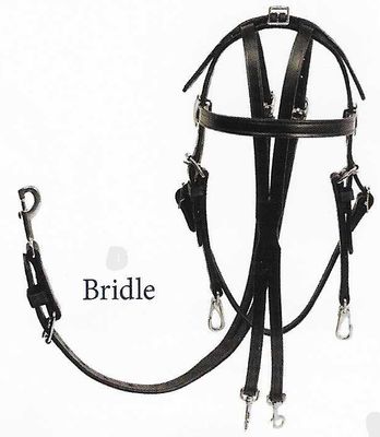 Bowman Training Open Bridle