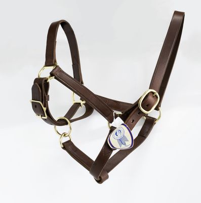 Blue Ribbon Turn Out Halter