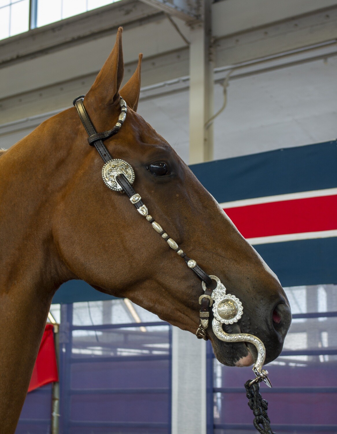 Dale Chavez Petite Barrel and Ball Bridle