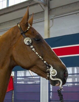 Dale Chavez Petite Barrel and Ball Bridle