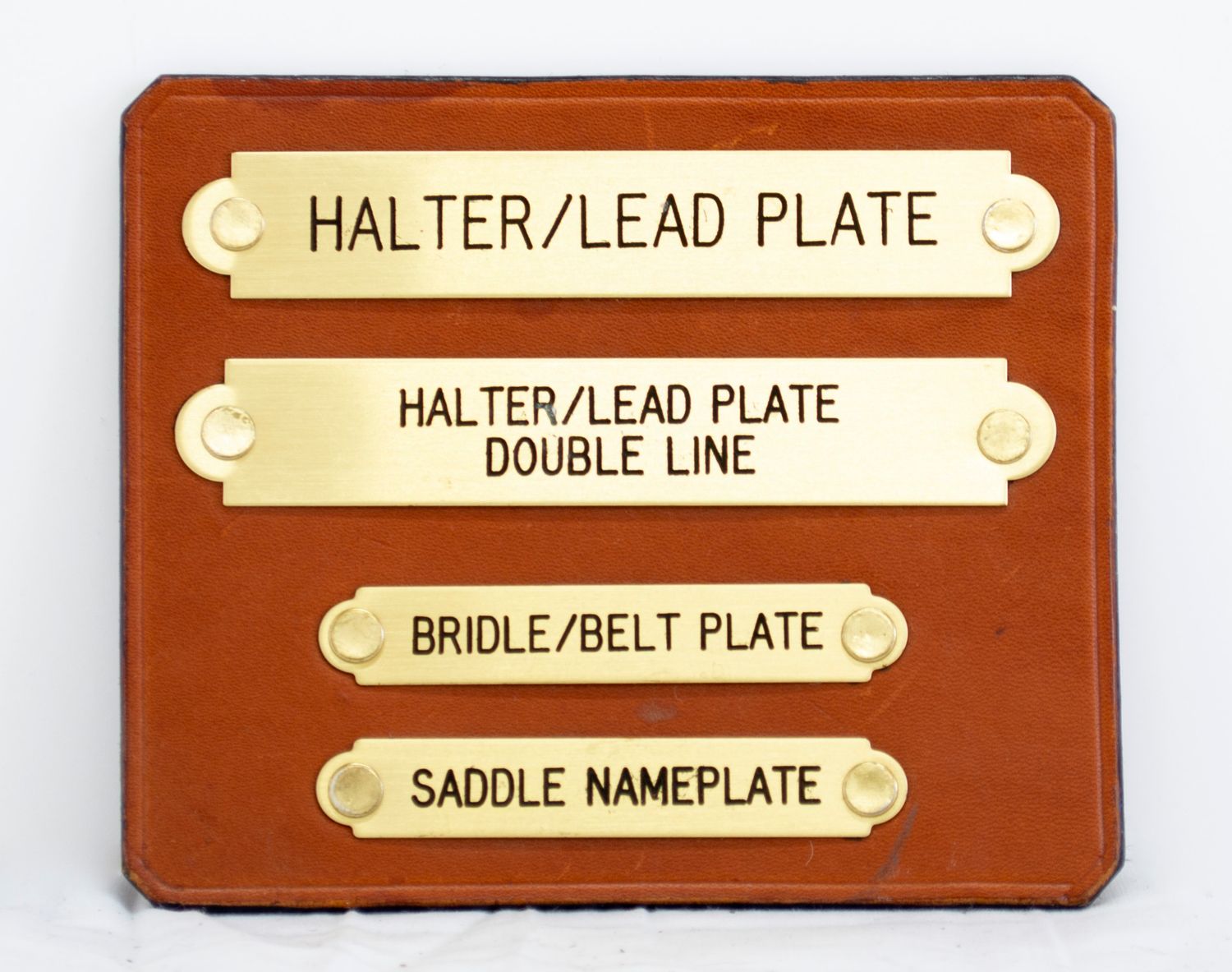 Brass Halter Nameplate